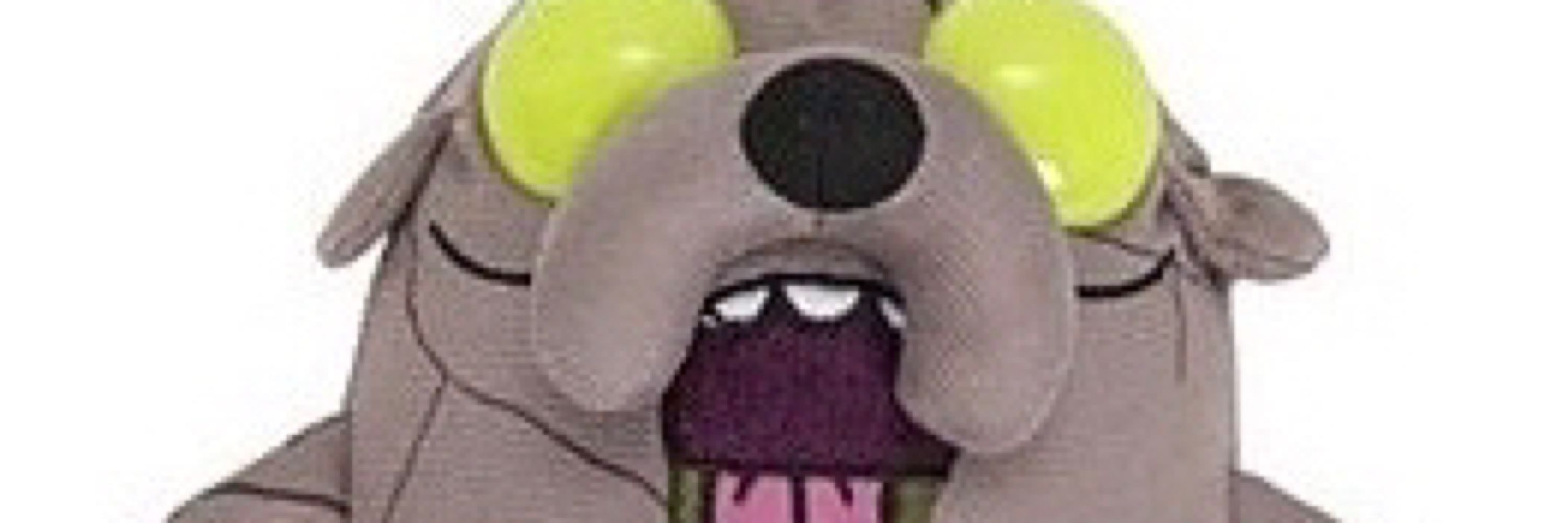 zoindexter