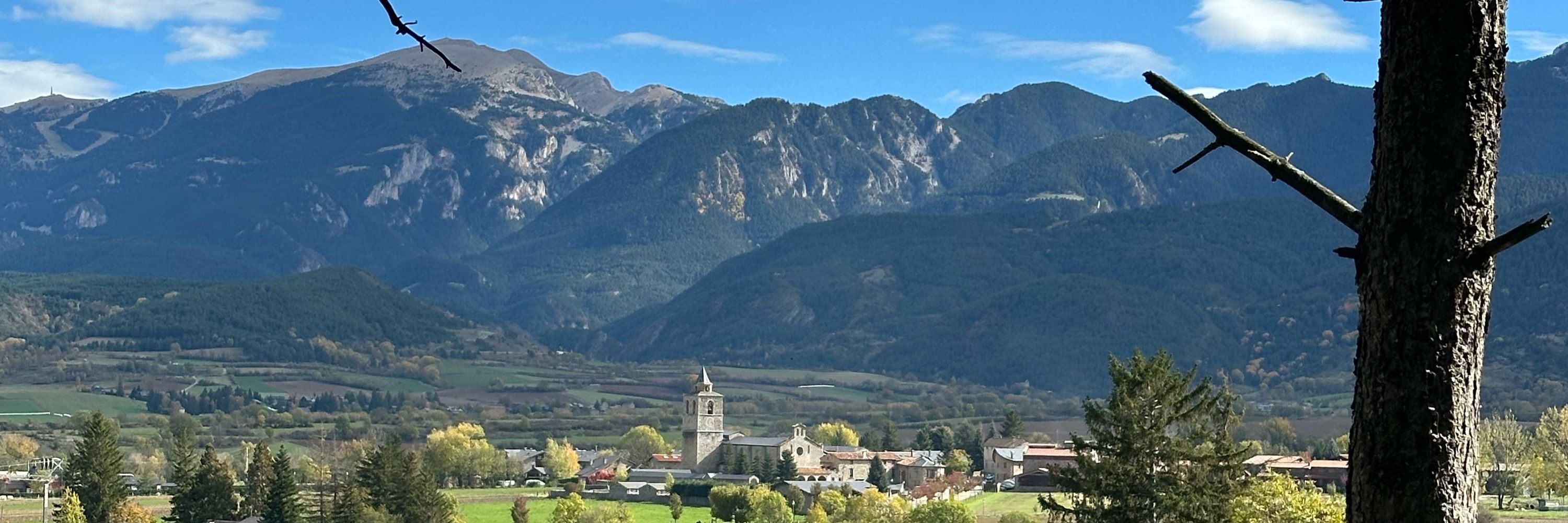 Xavier Bernadí
