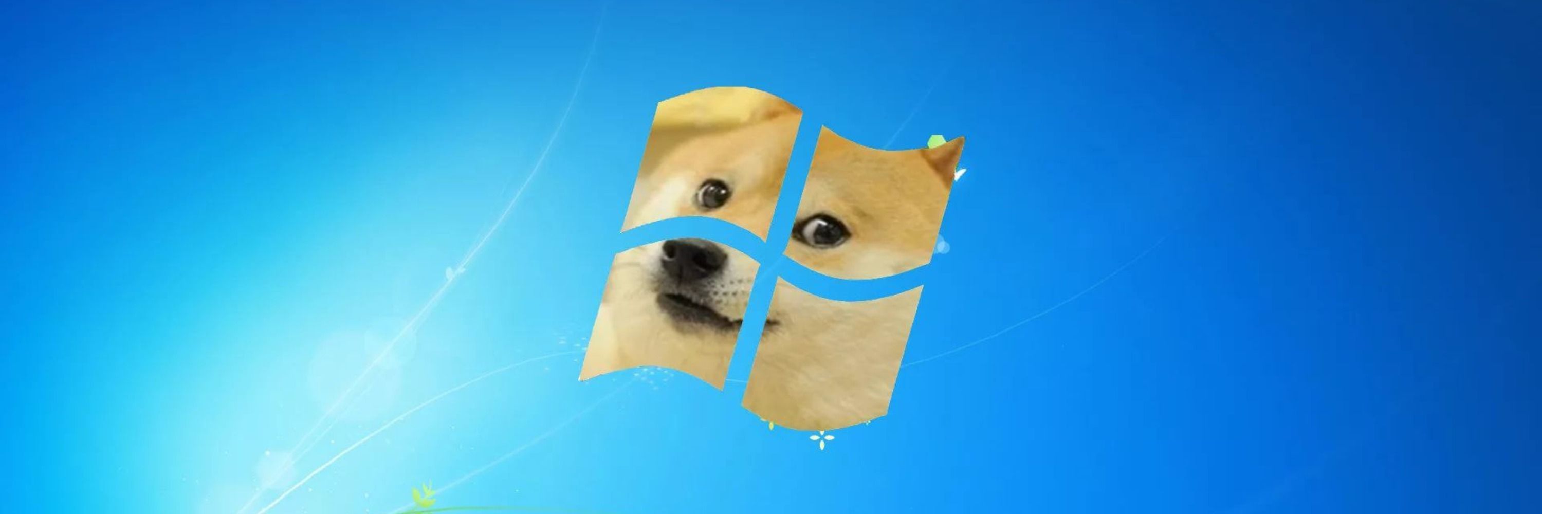 Doguinho cabeça de melancia