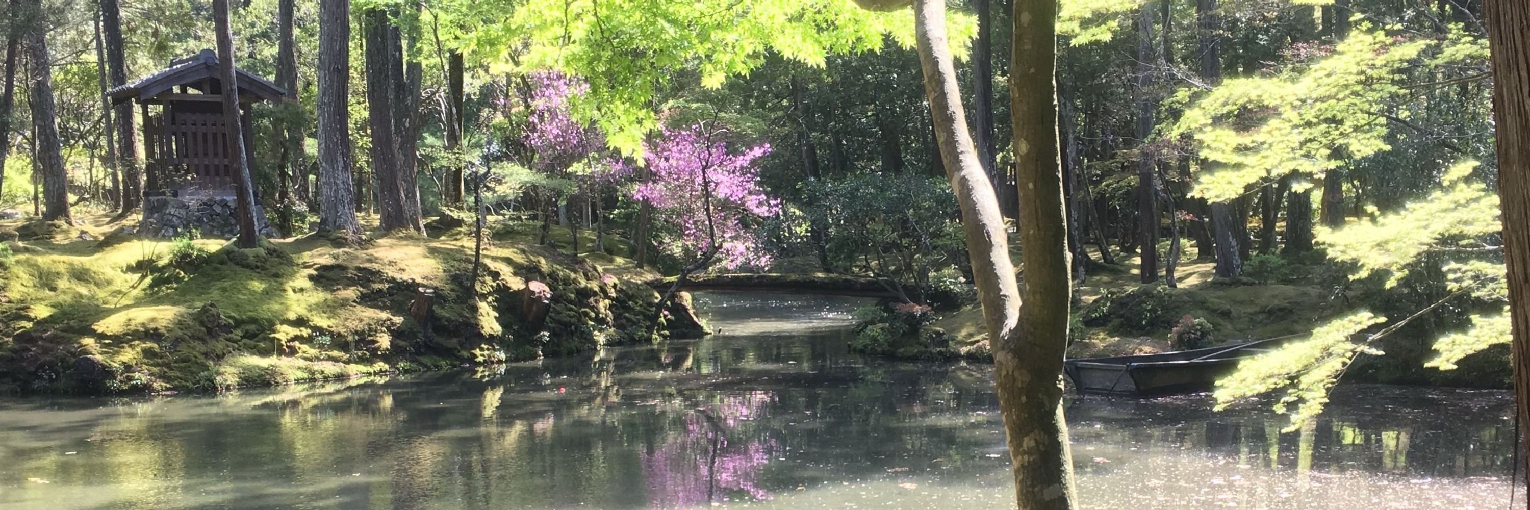郷花