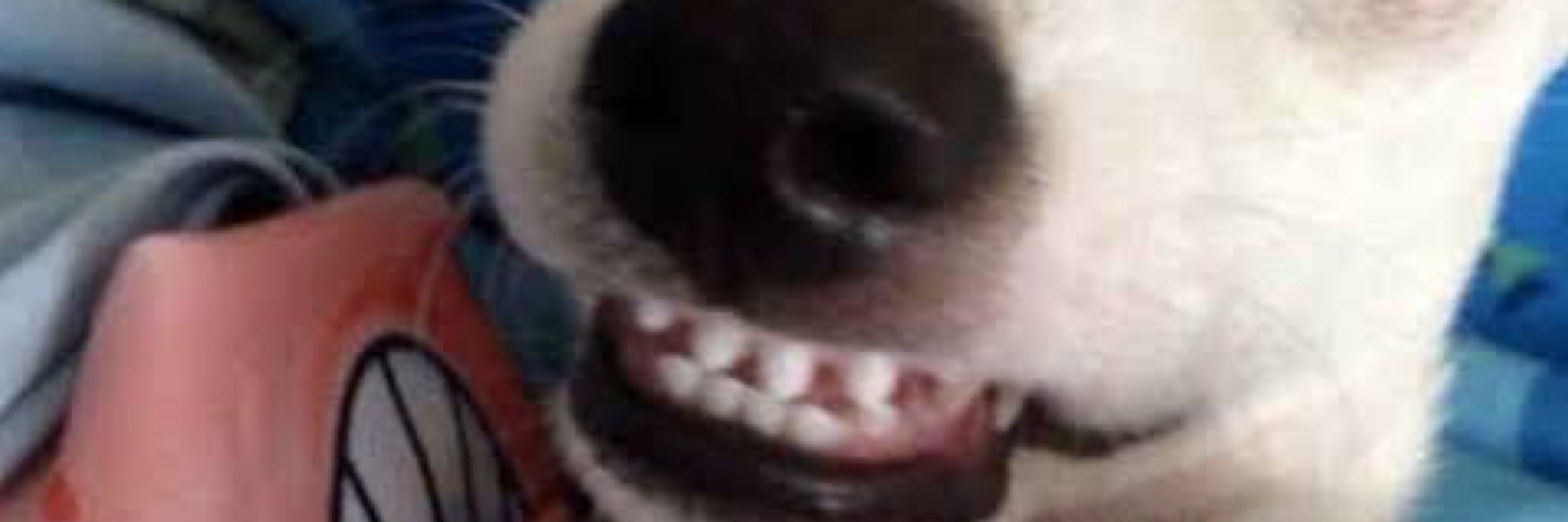 Jowzinho