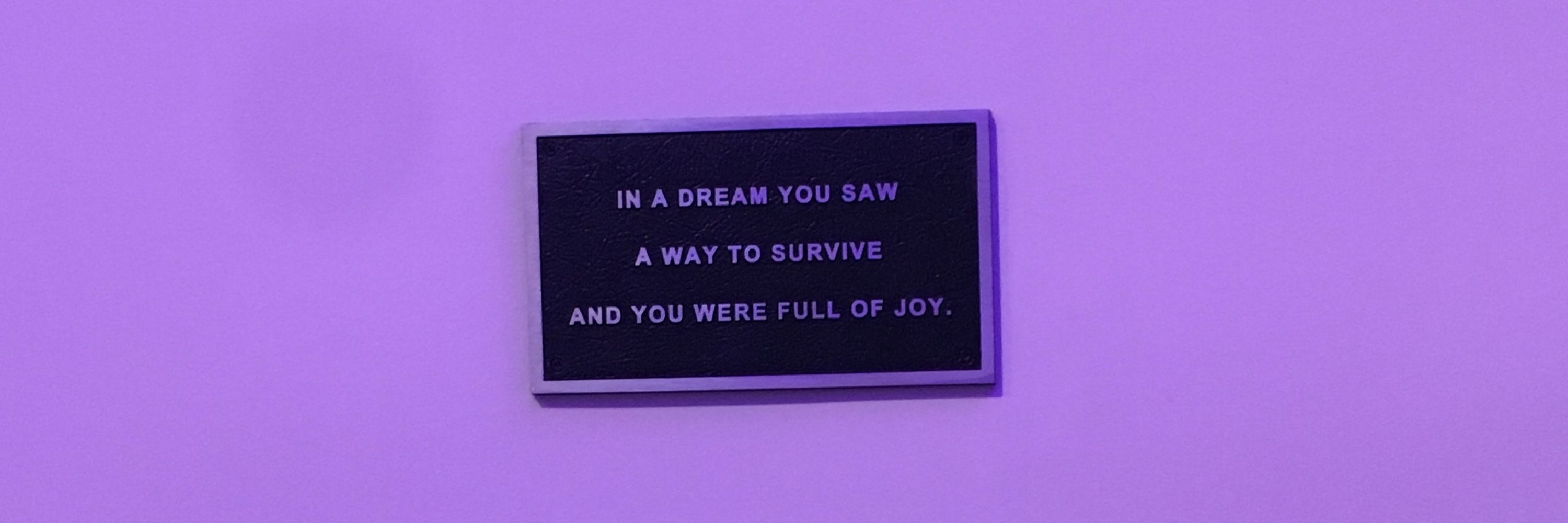 Teddy 🦋