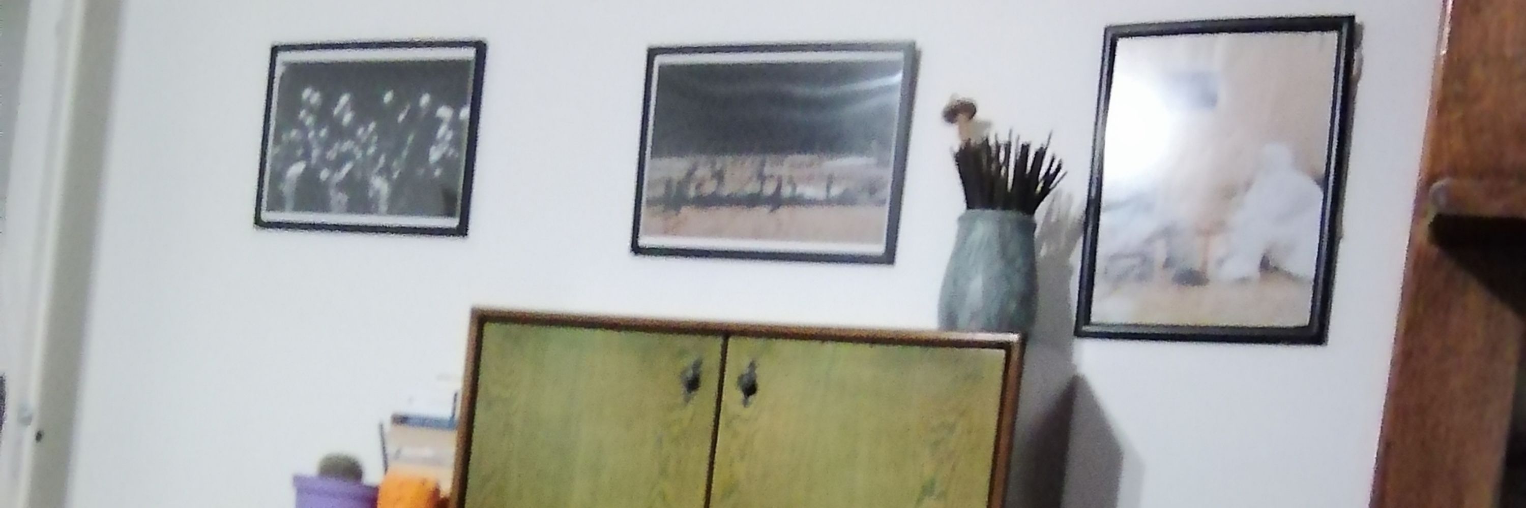 Onur Aydın