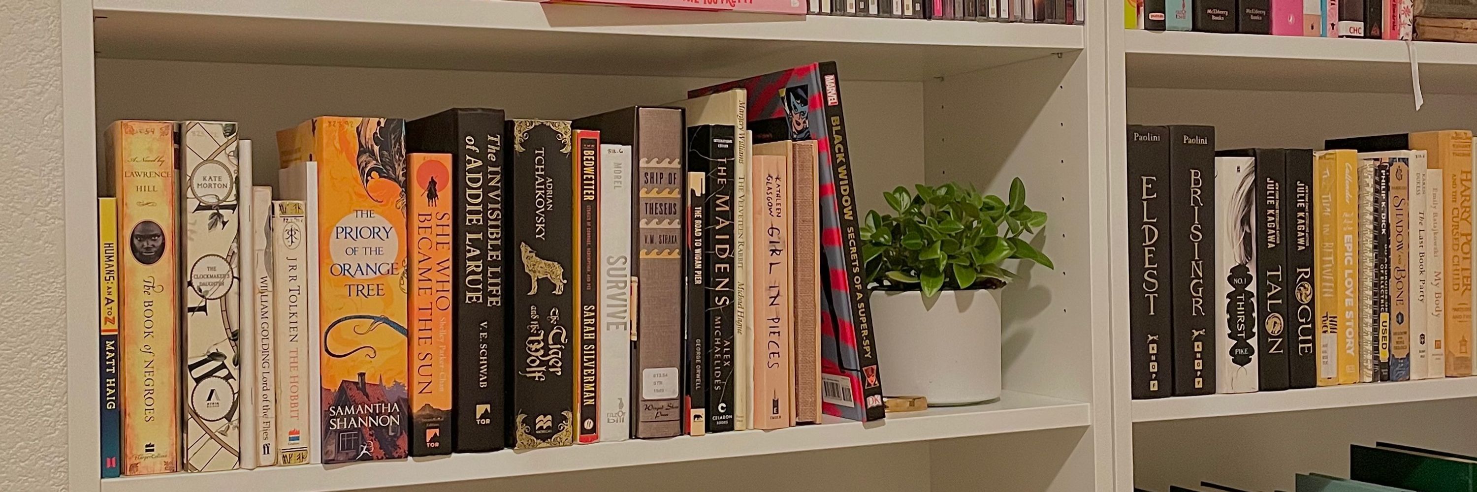 Allie reads 🦋📚 (she/her)