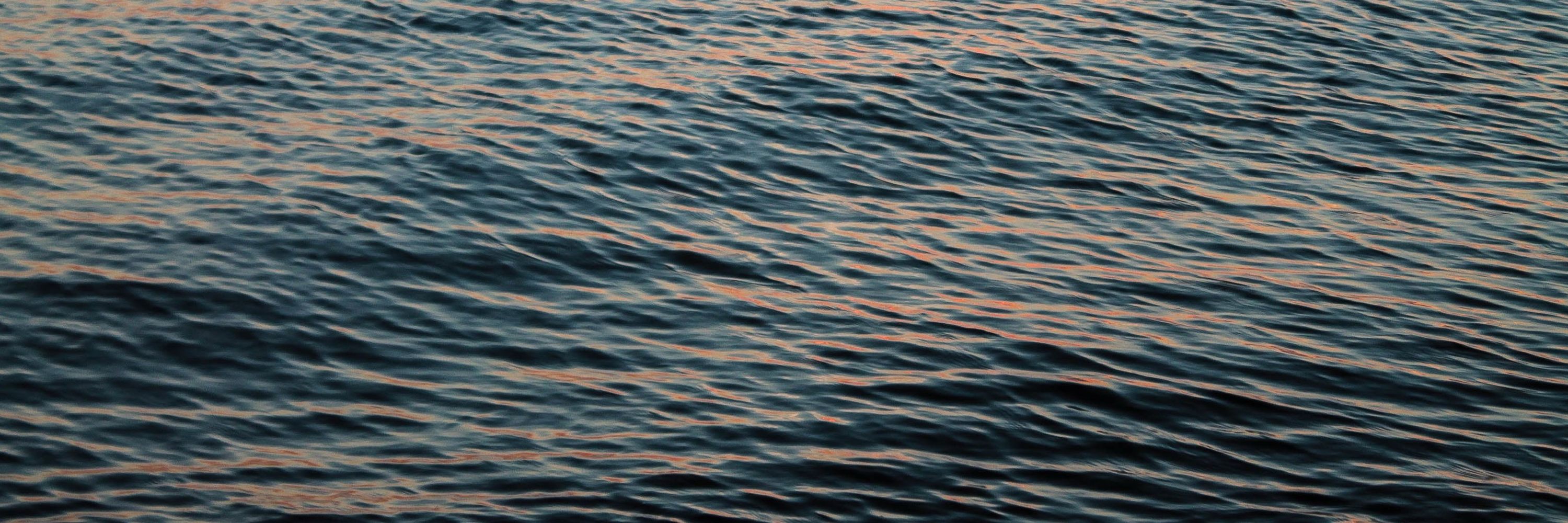 Clare Knudsen