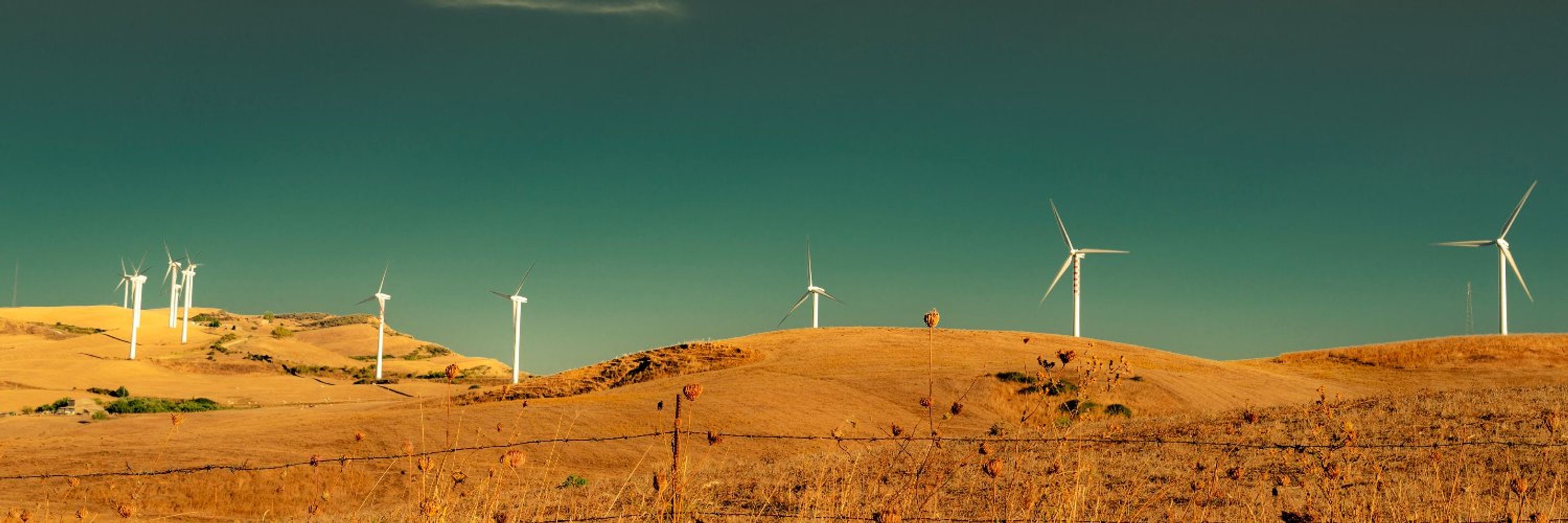 Land and Climate Review