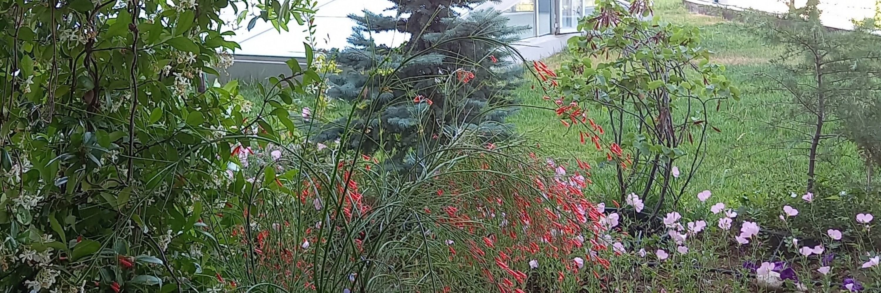 Ülkü Şimşek Tutak