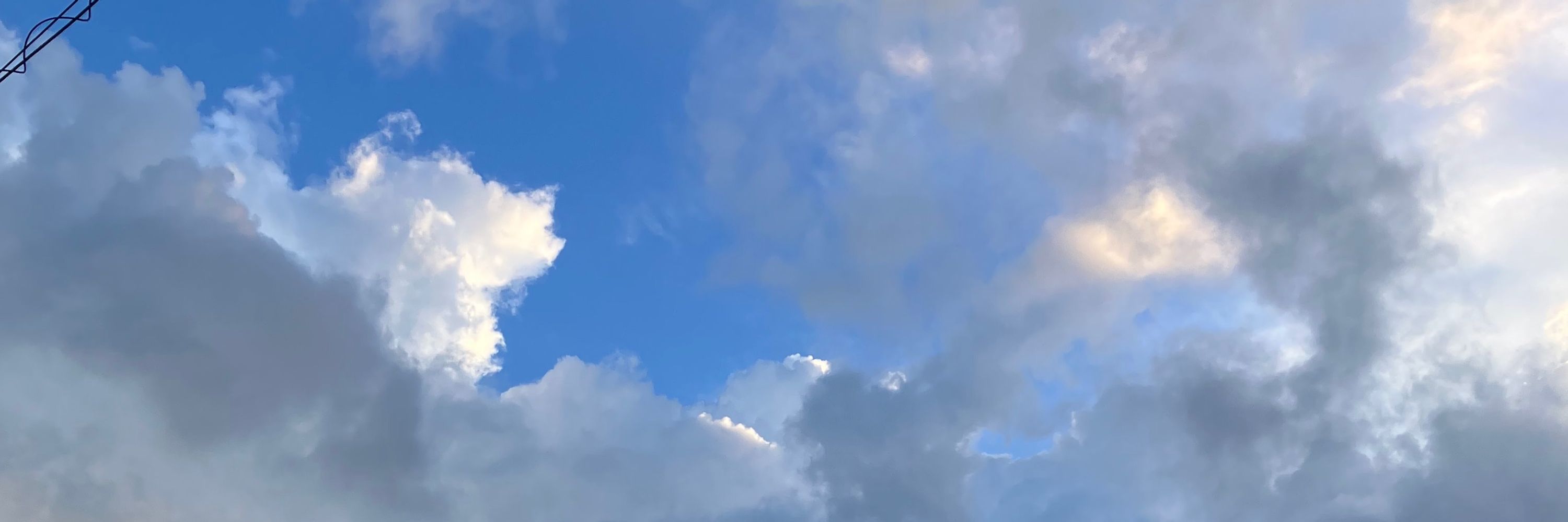 景