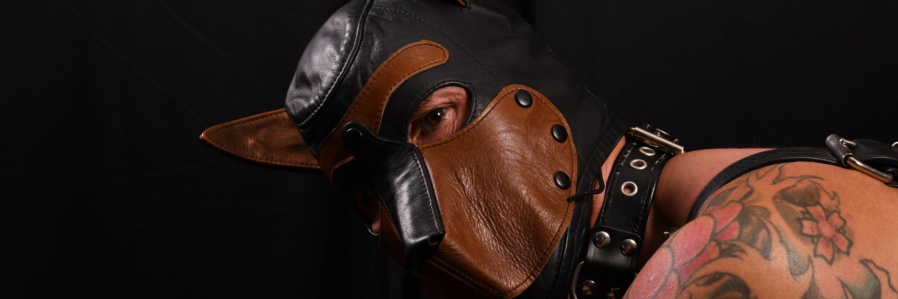 @PupBadger