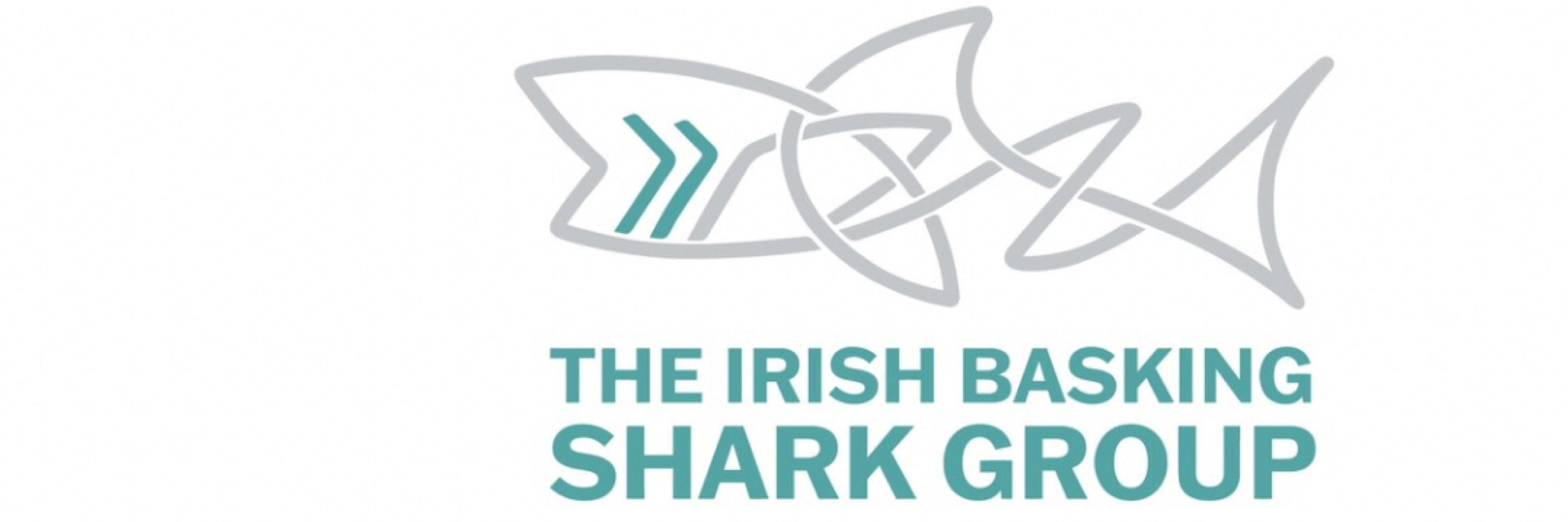 Irish Basking Shark Group