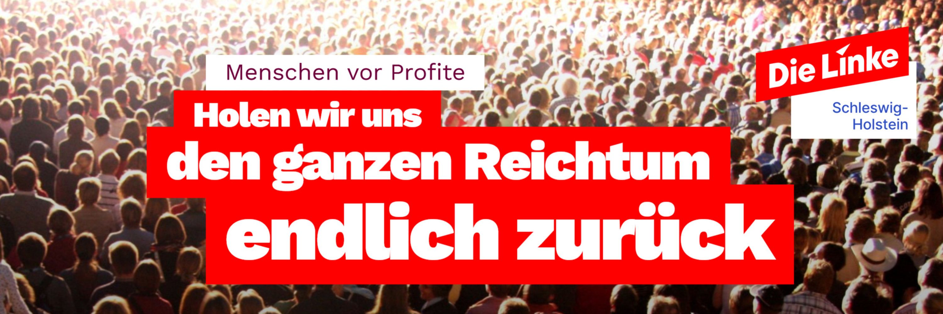Die Linke Schleswig-Holstein