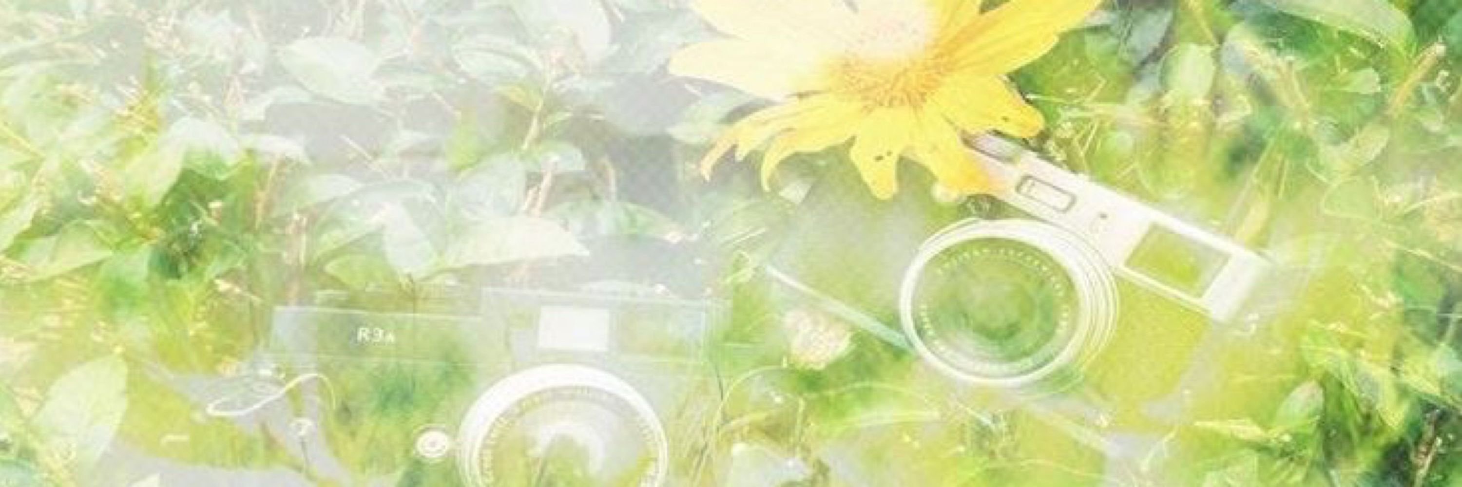 Silver ☆
