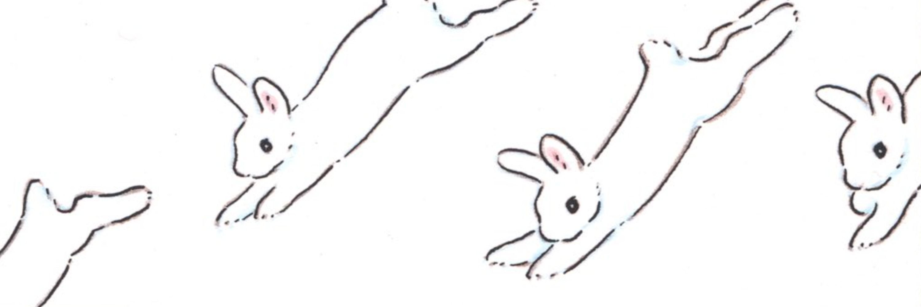 ✩‧₊🦇 *:･ﾟ