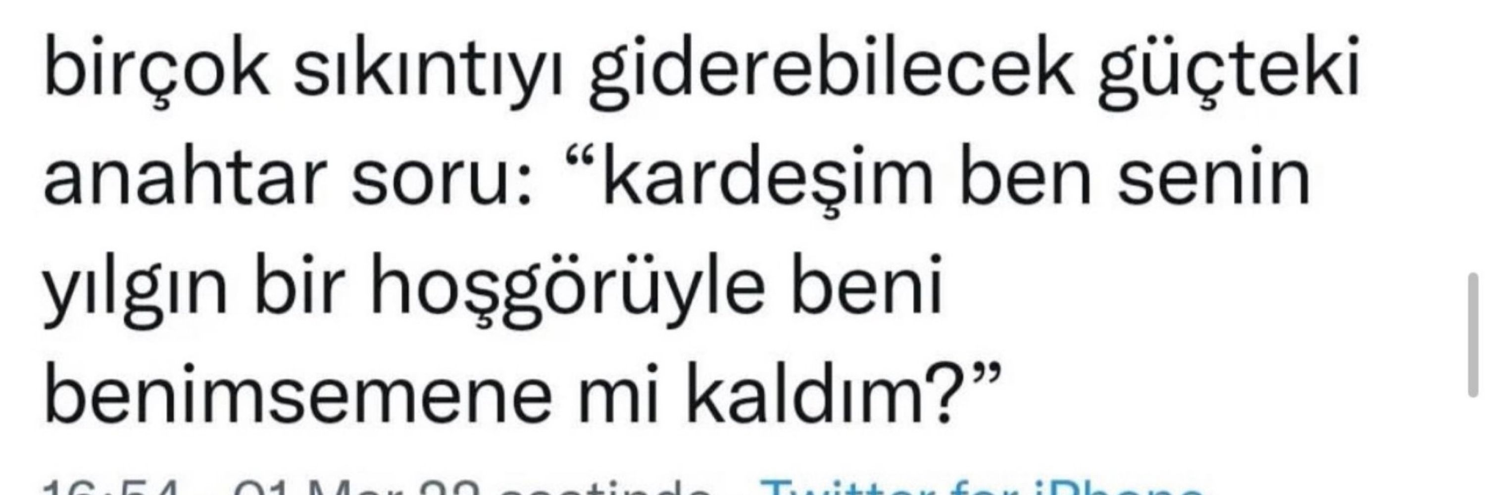 Defne Y.