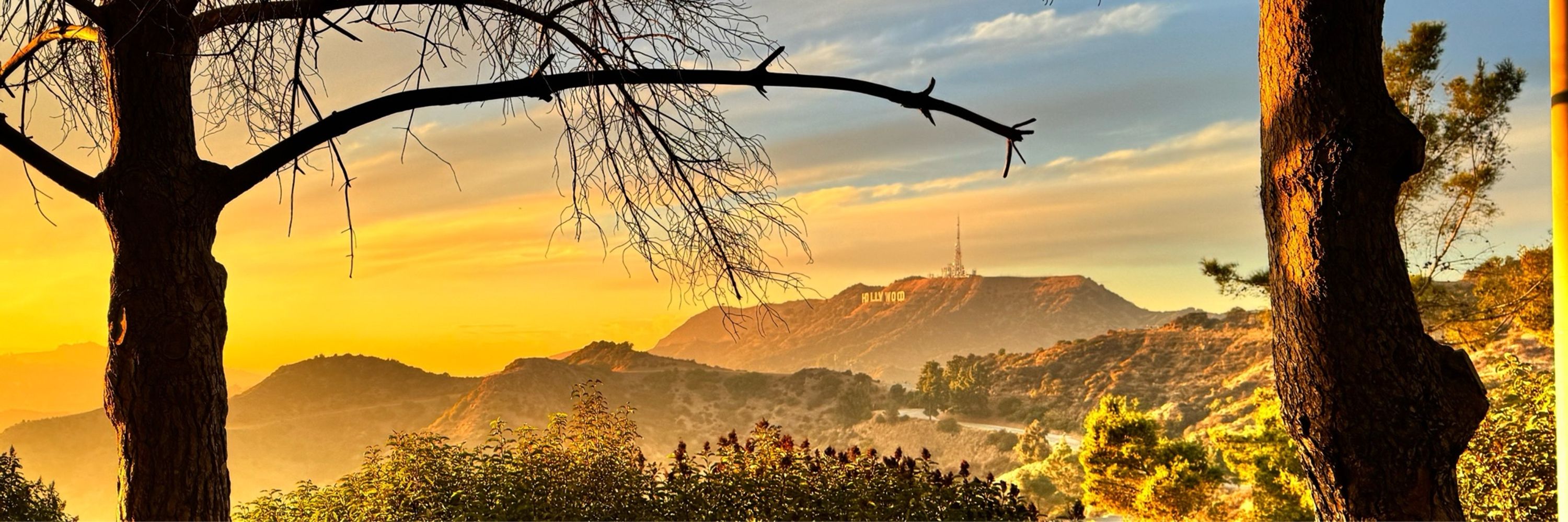 Griffith Park