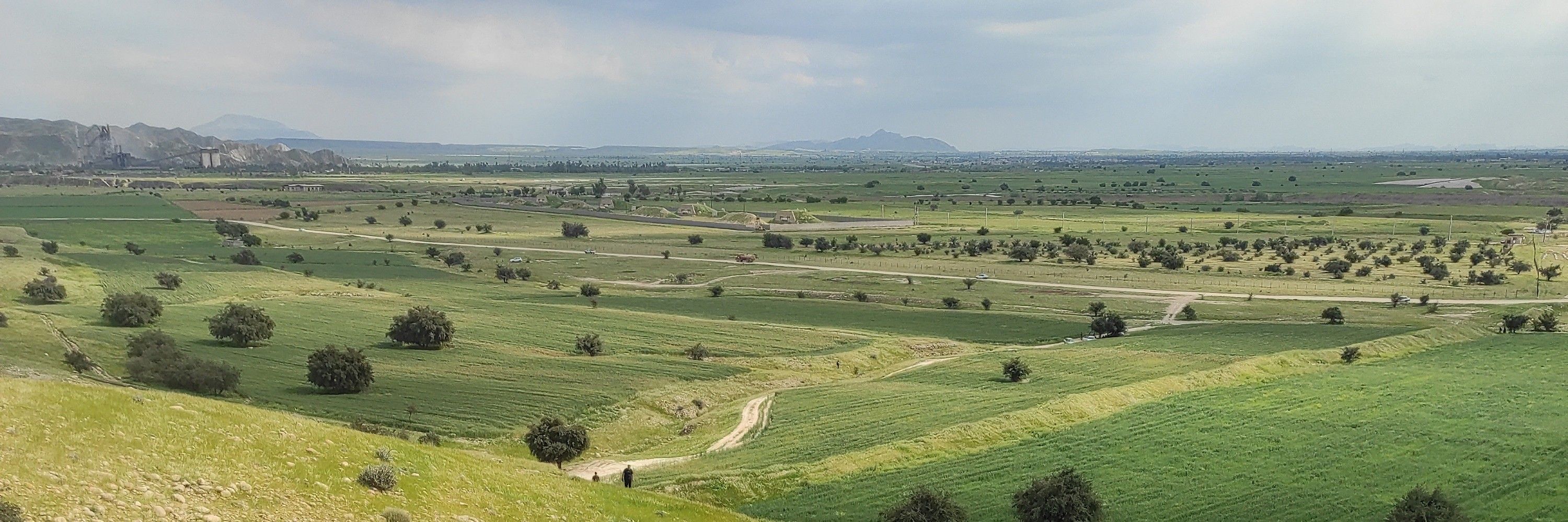 مازیار عجمی