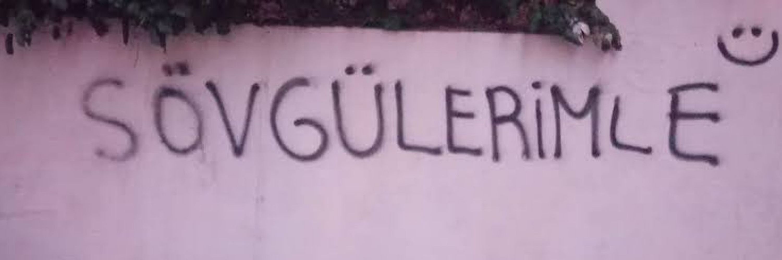 bilgesto