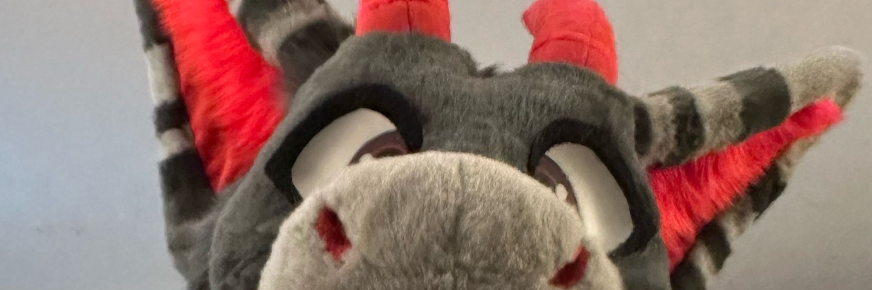 Grey the Dutchie