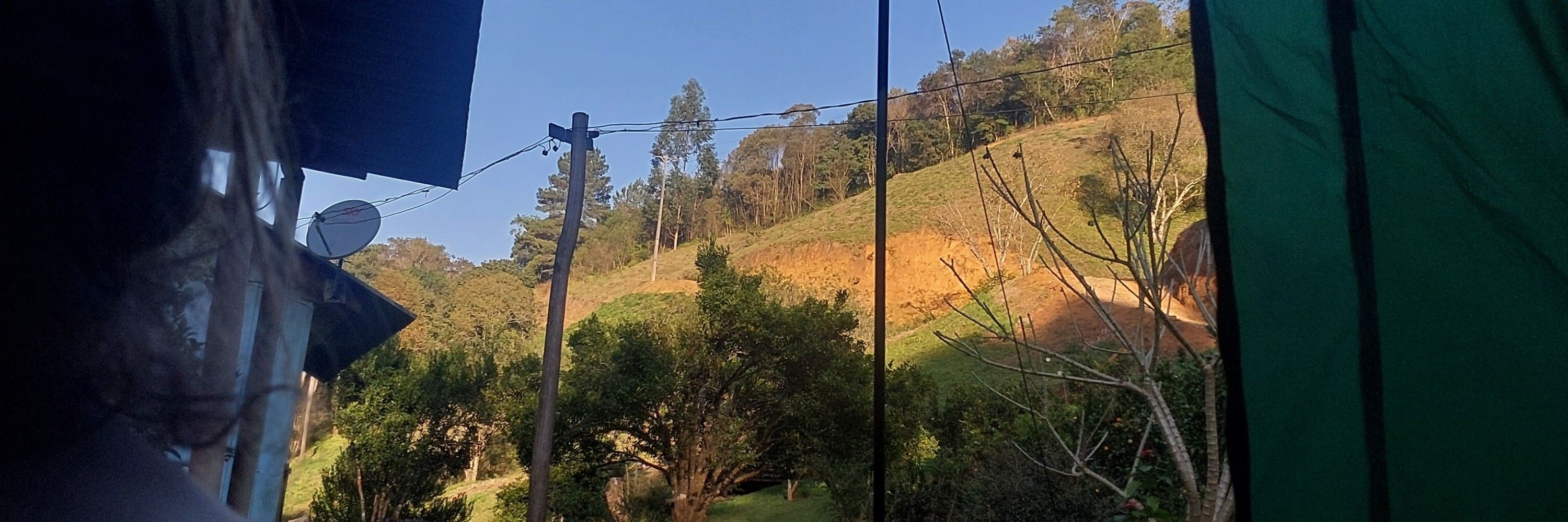 Jungzoca 