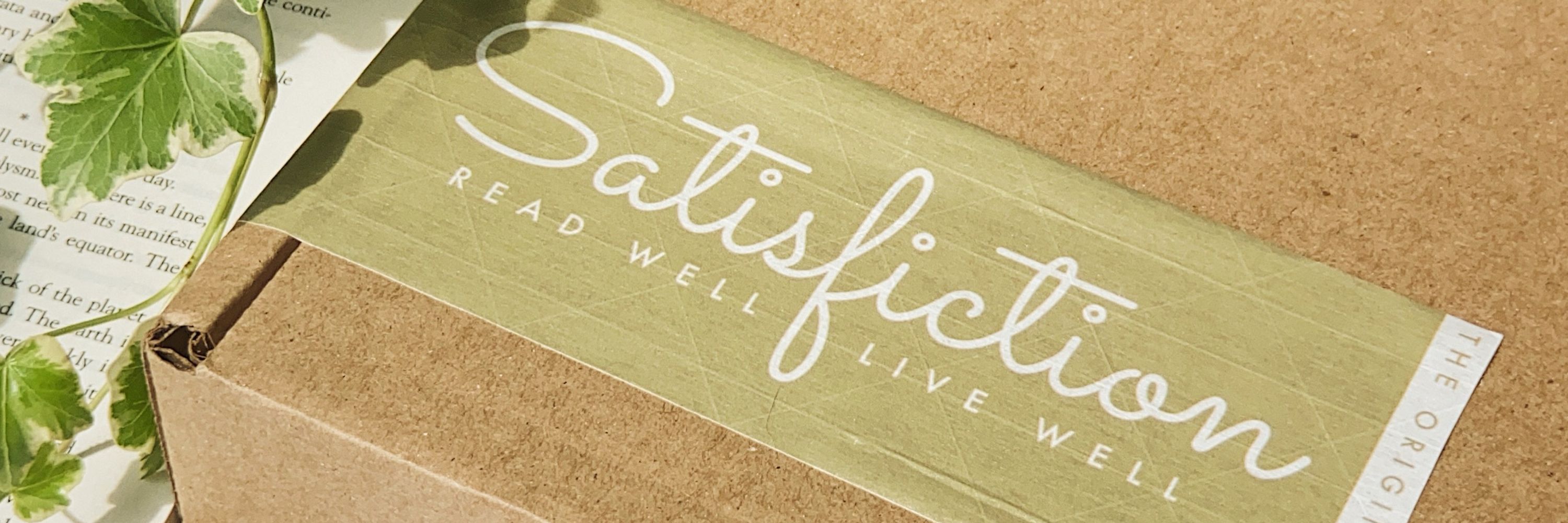 Satisfiction Book Box
