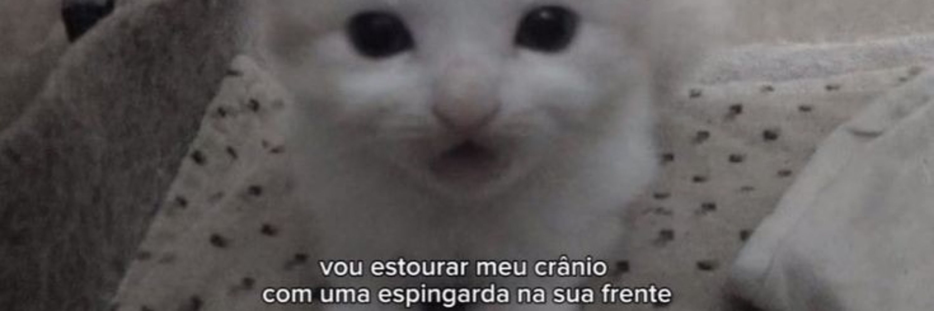 lau (com z)