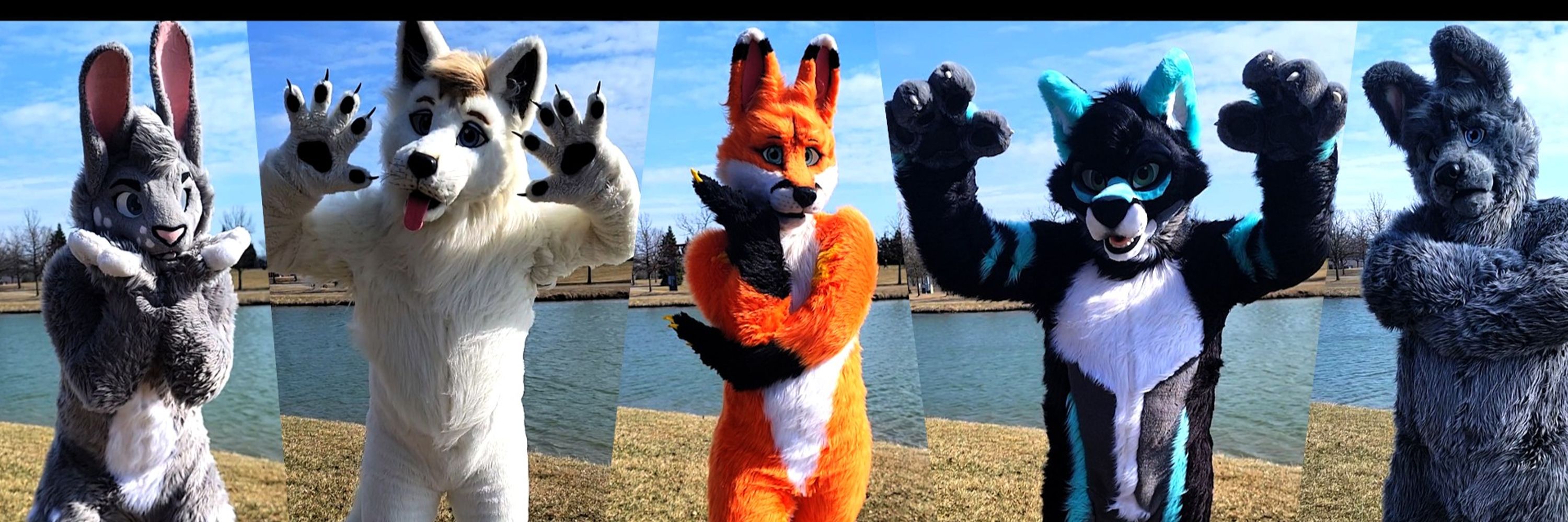 Paws Play