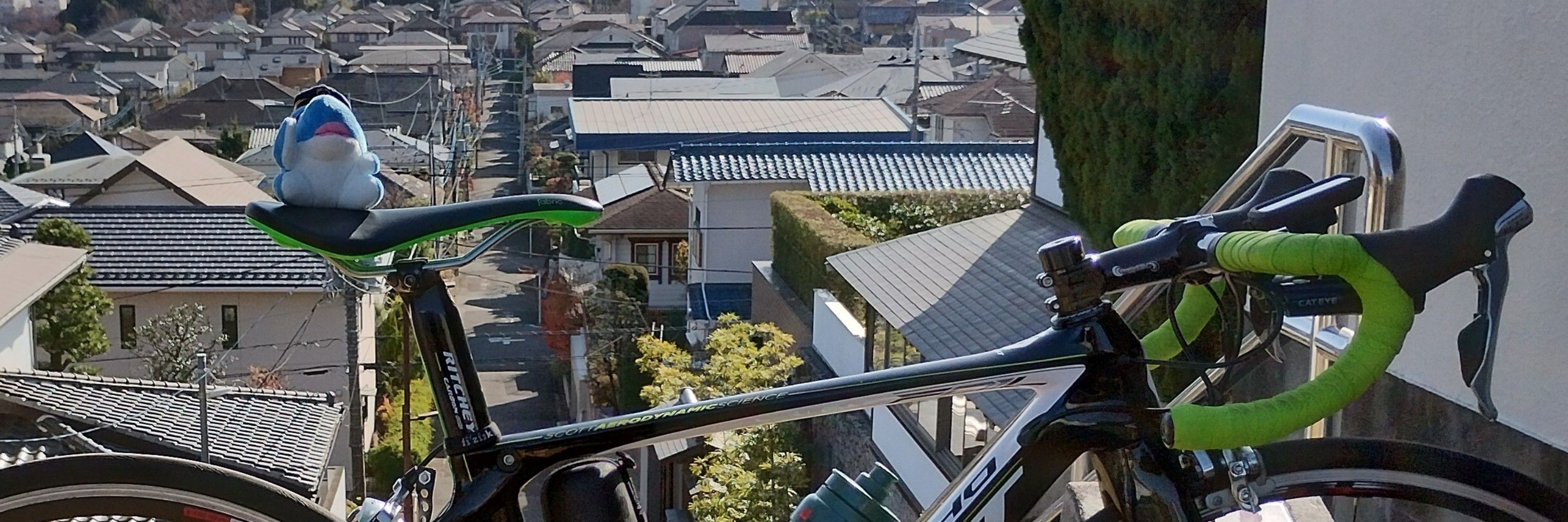 おいも