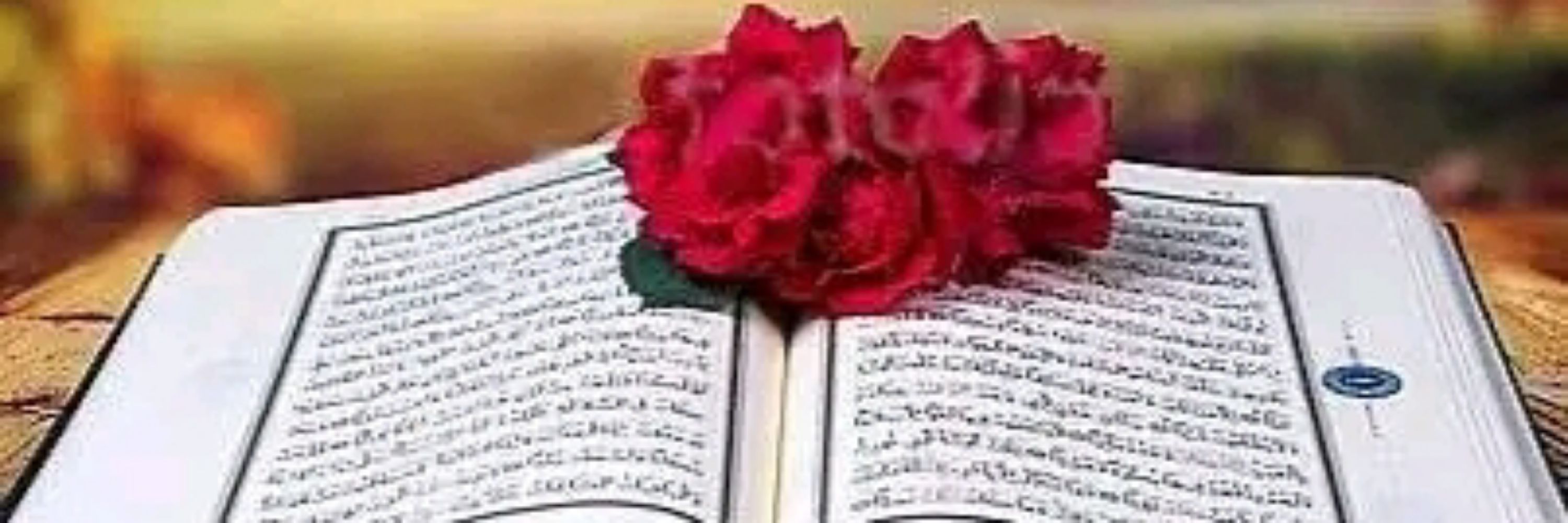 Amir Nazir