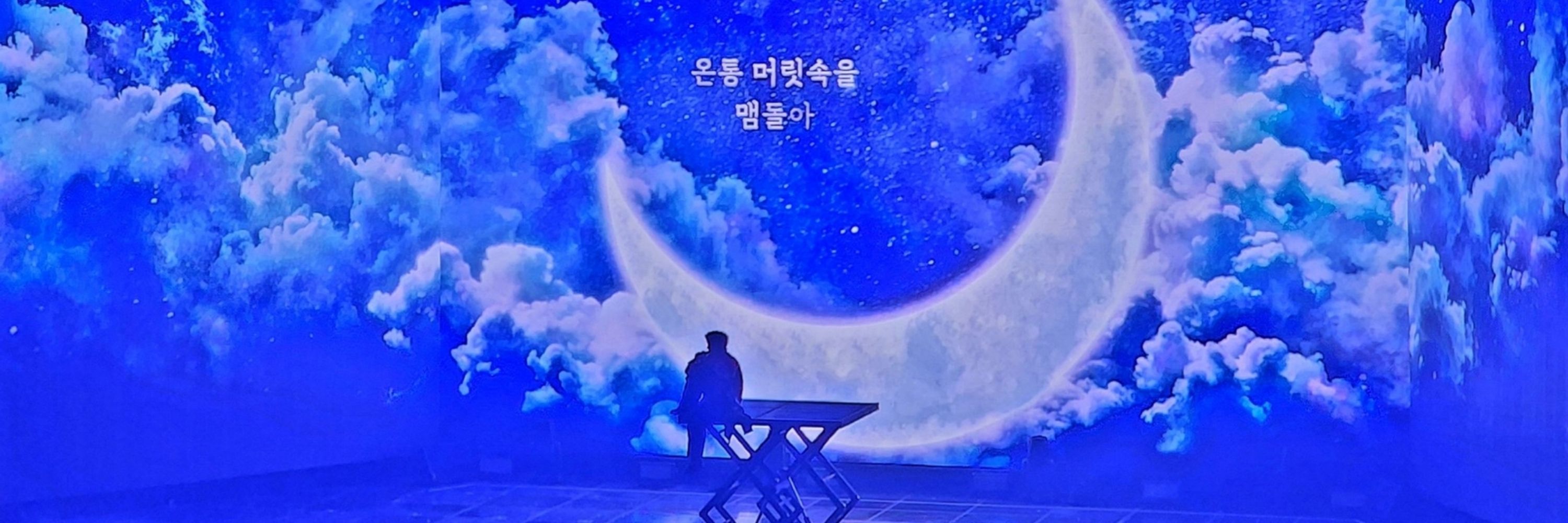 매일플로디