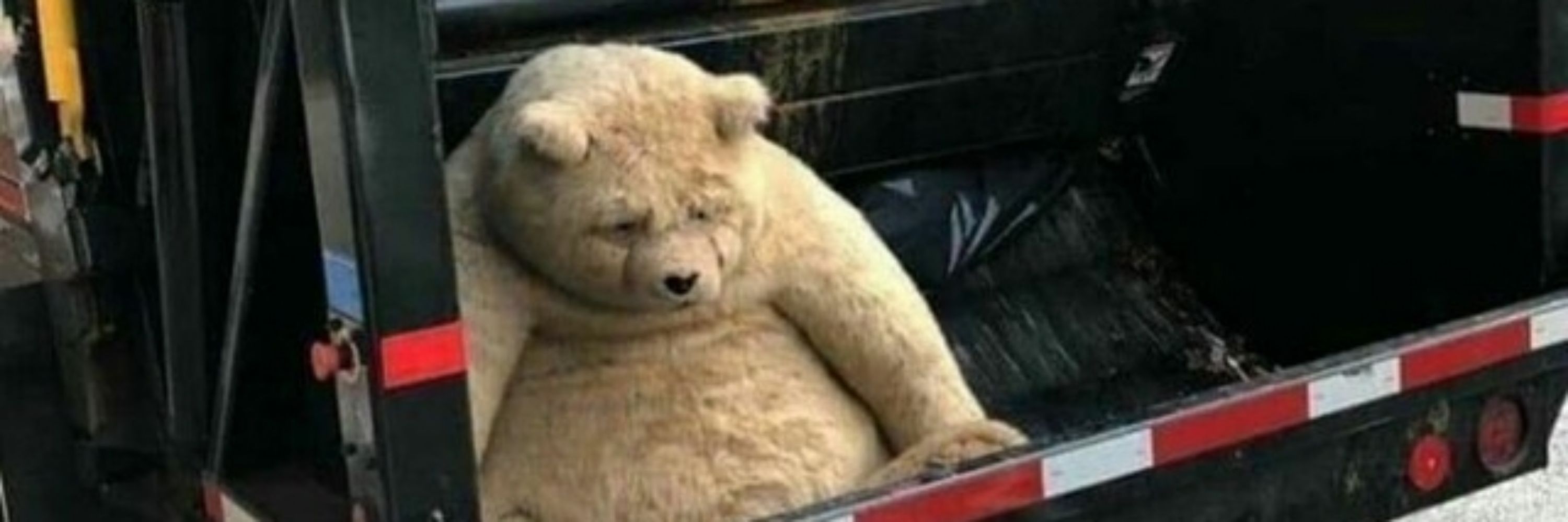 BigSpookyBear