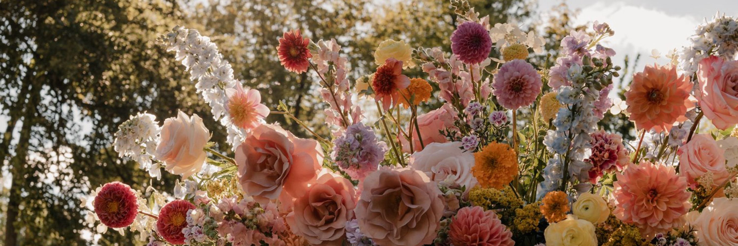 Harley Maile | Philly Wedding, Couples & Boudoir Photographer