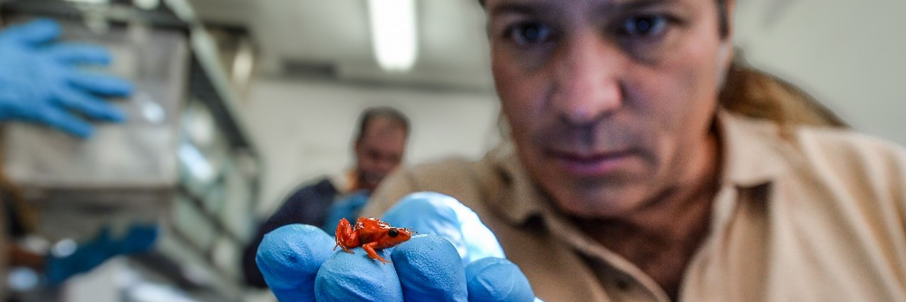 Conservation Science at Chester Zoo