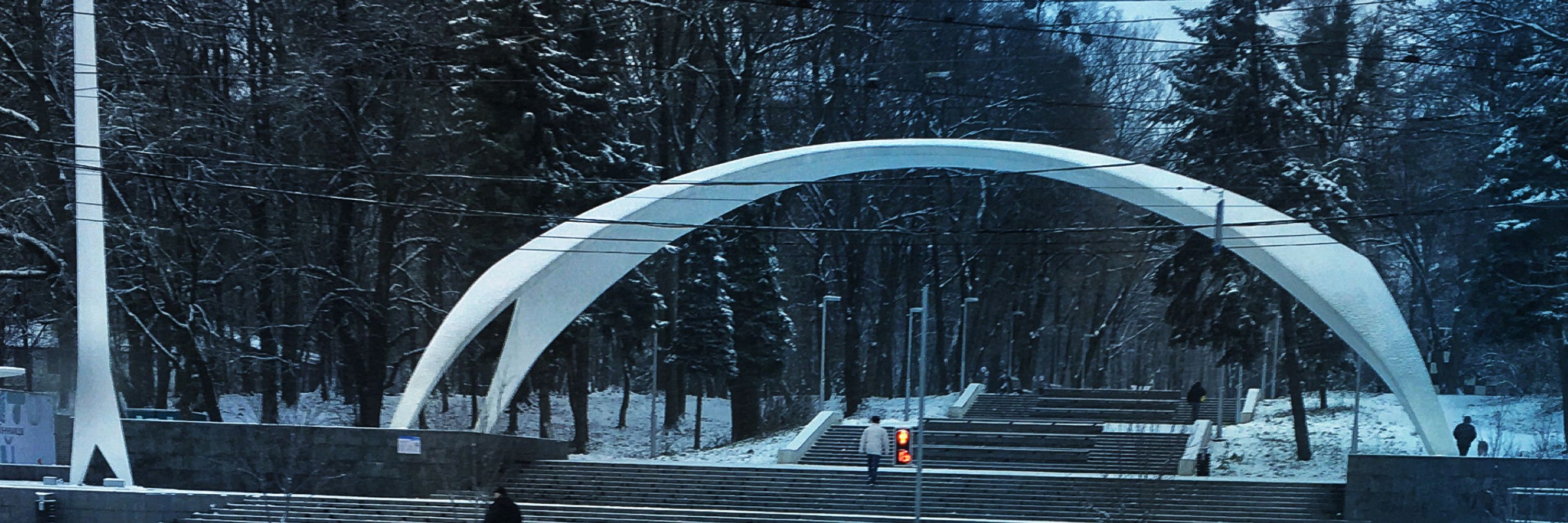 Курволис