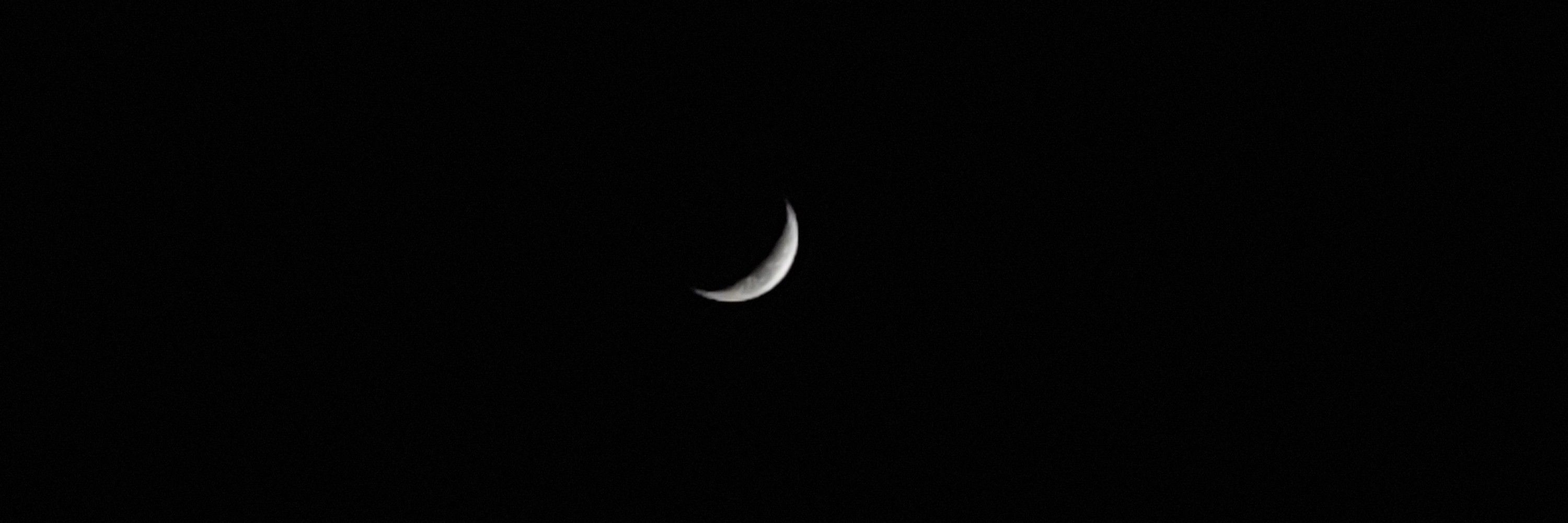 Lian 🌙|🎸