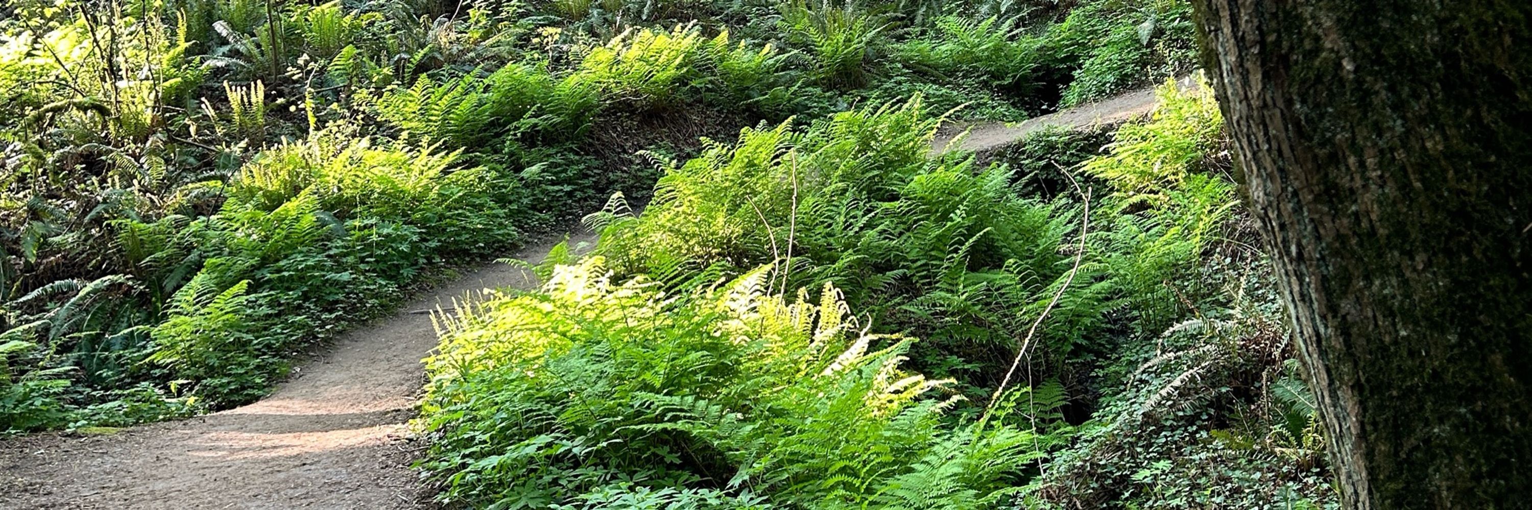 🌱
