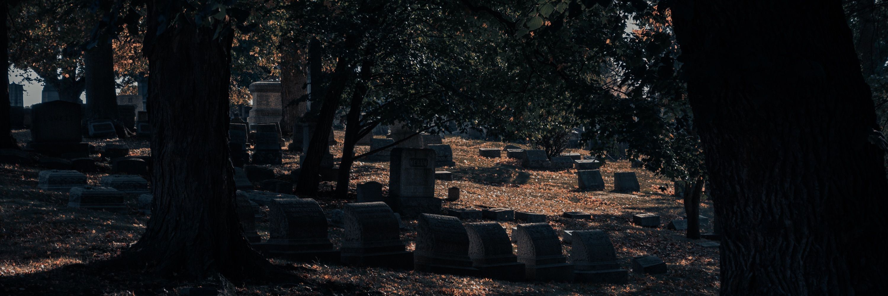 🎃’𝕲𝖍𝖔𝖚𝖑