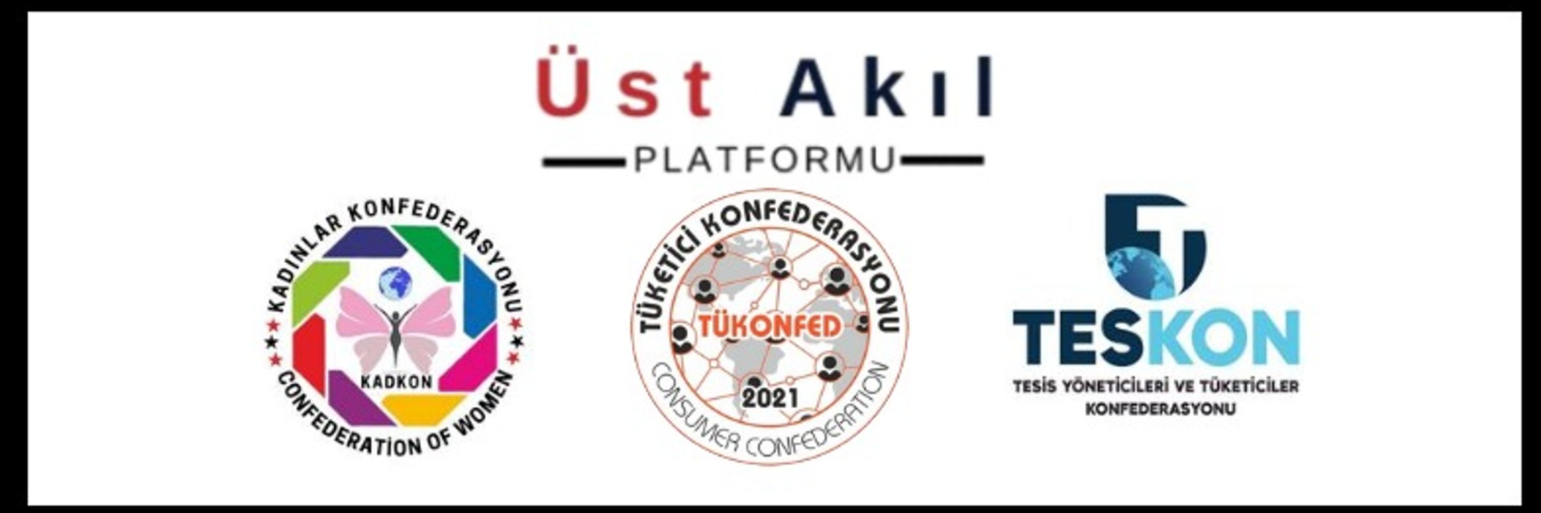 Üst Akıl Platformu