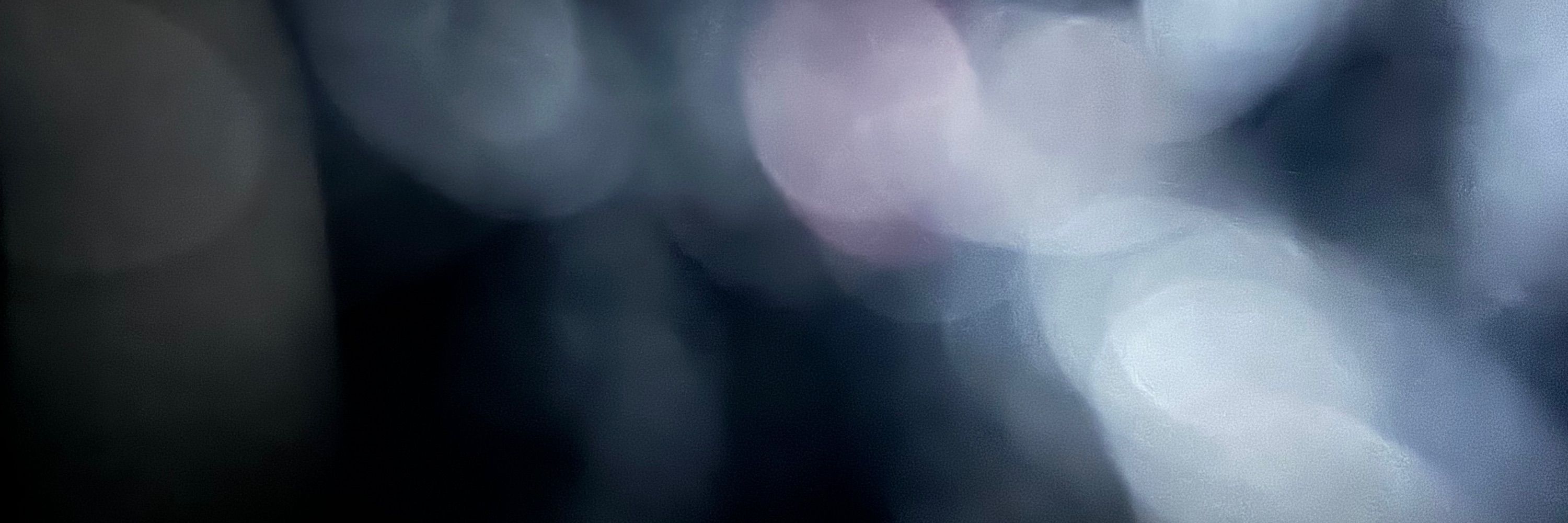 B.
