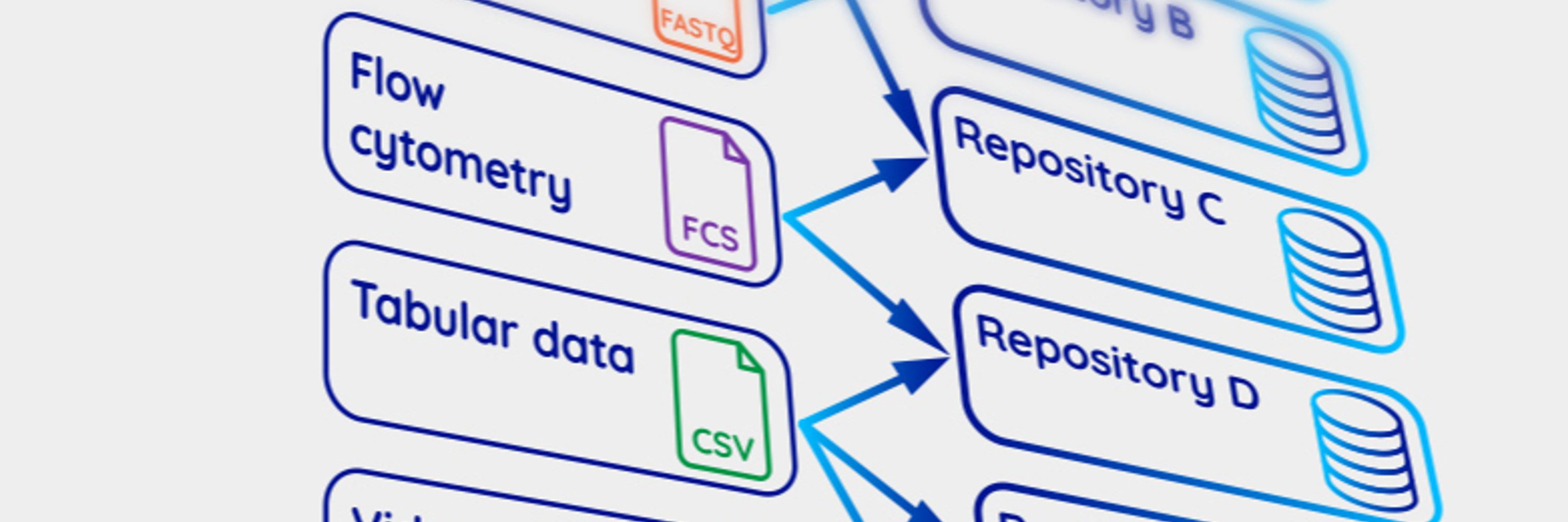 DataSeer AI