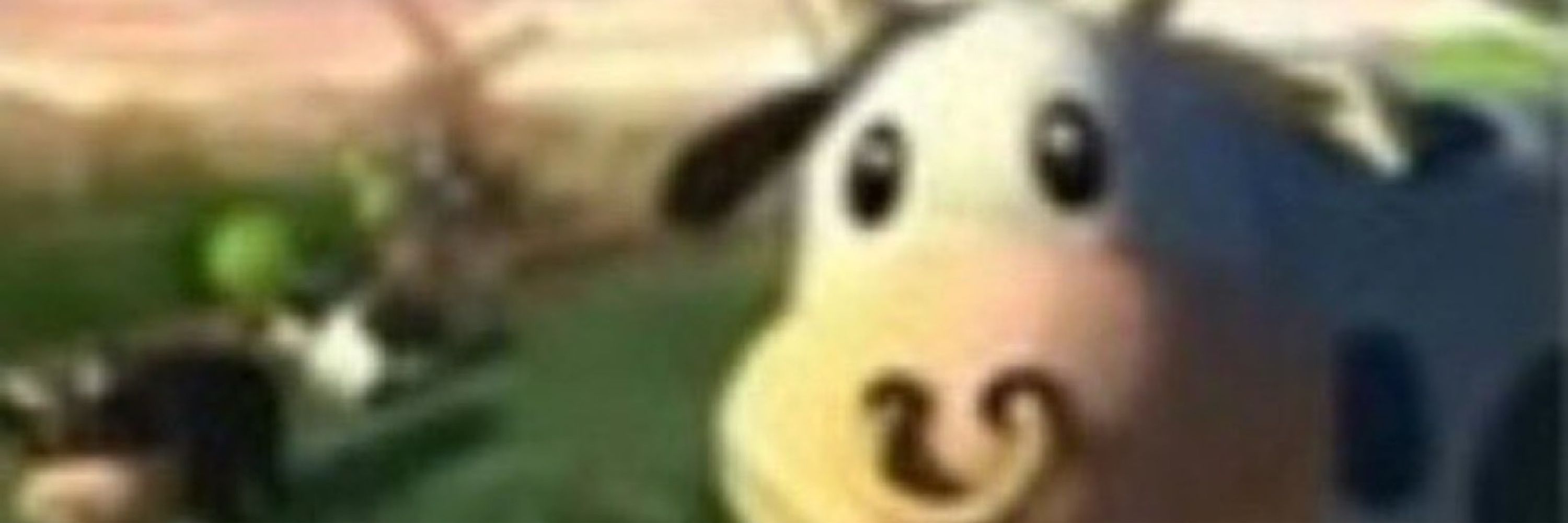 Manuel D