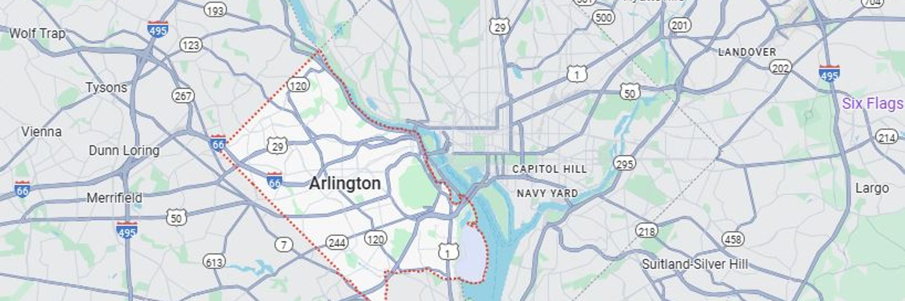 ArlingtonVABlueCat