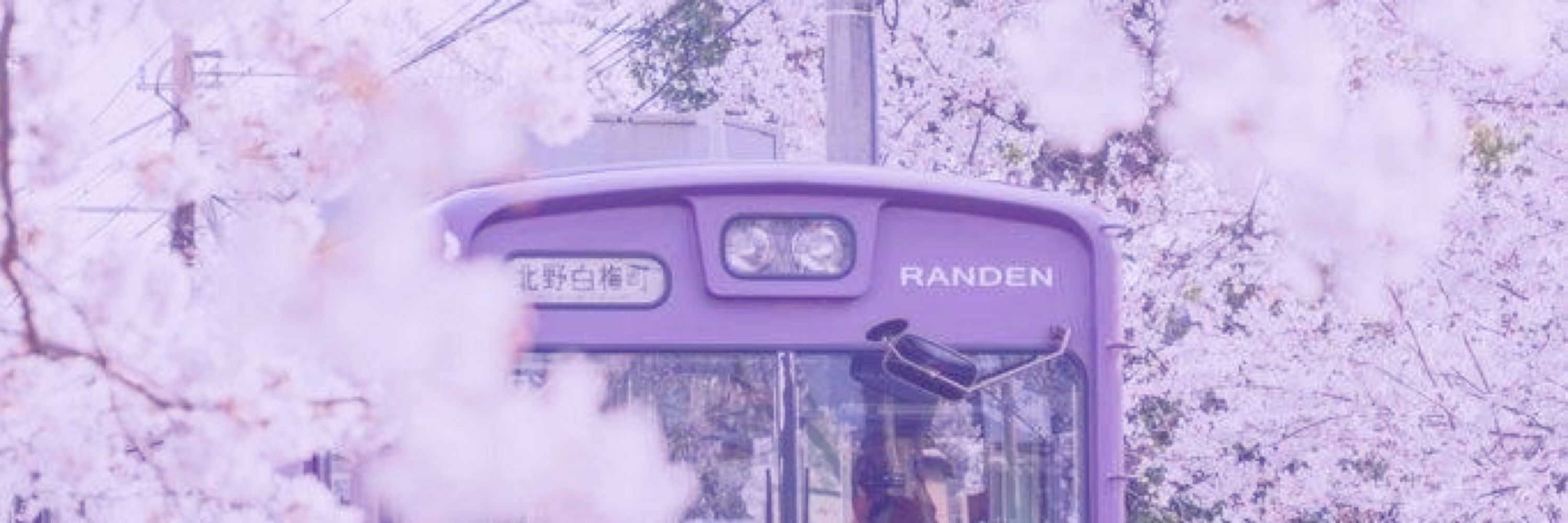 mai 💜