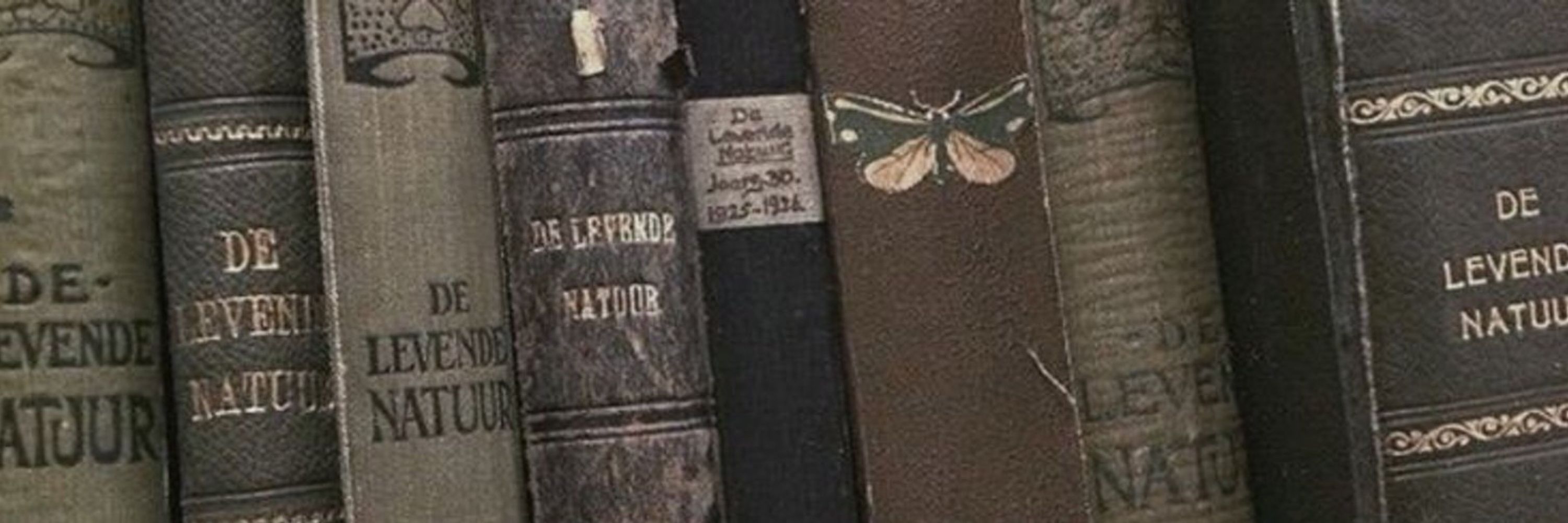 𝑳 𝒖 𝒈 𝒂 𝑩 !•📖: