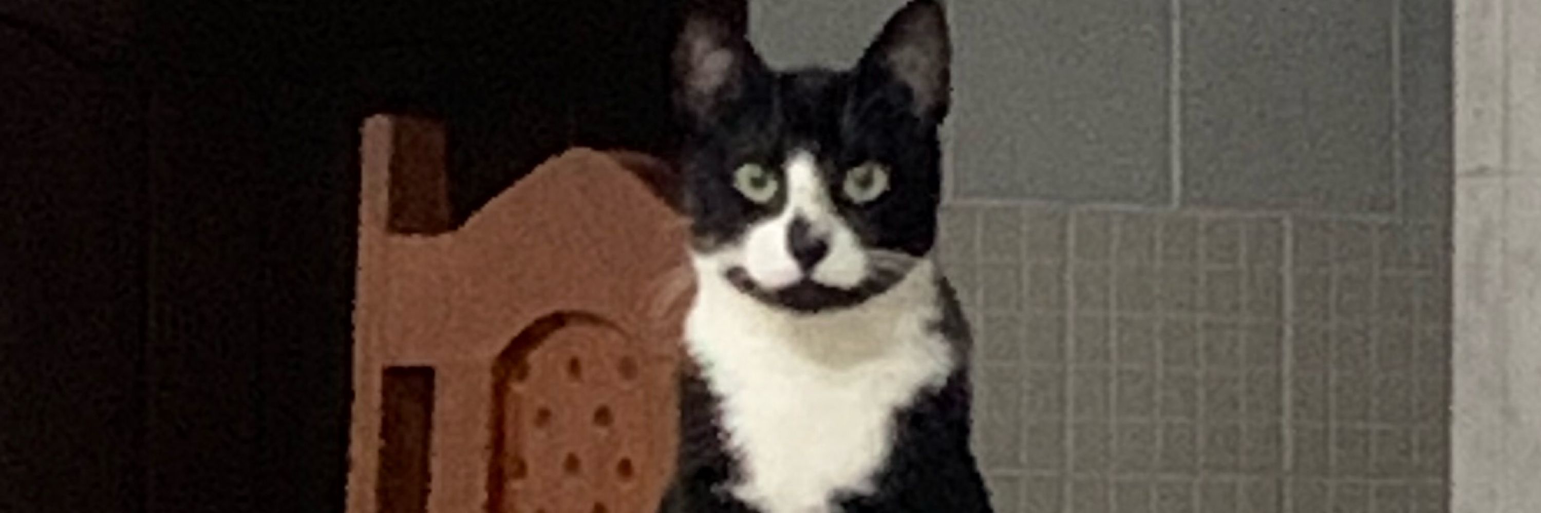 Lu