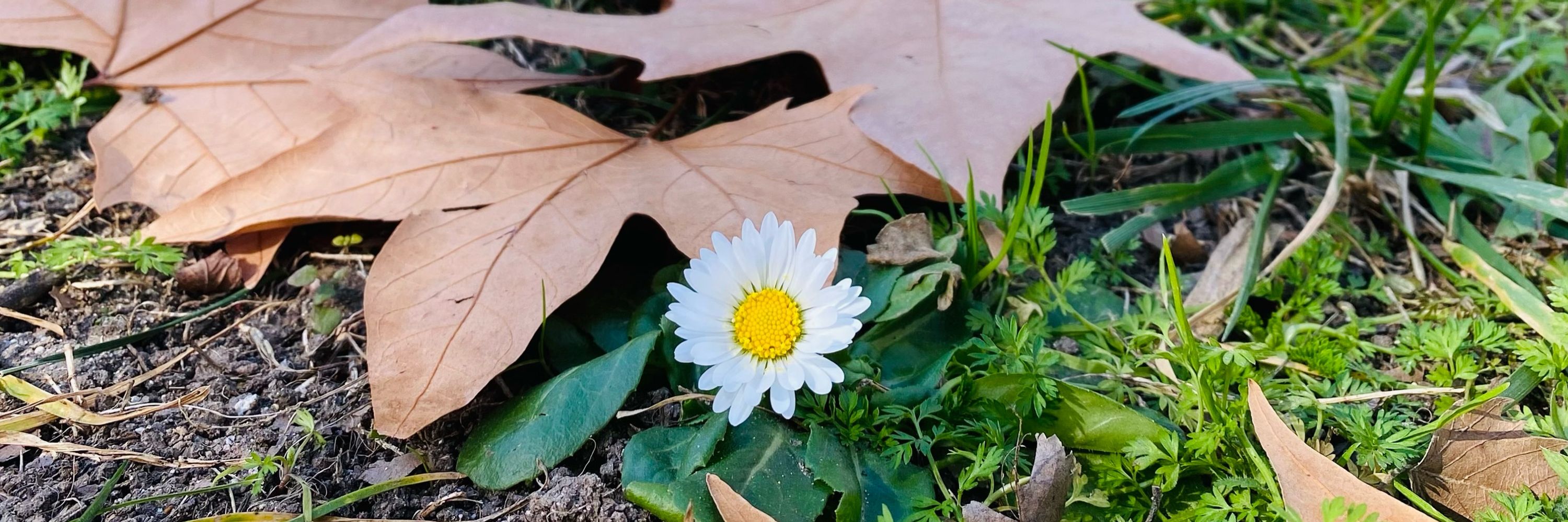 Sadiqui ☀️