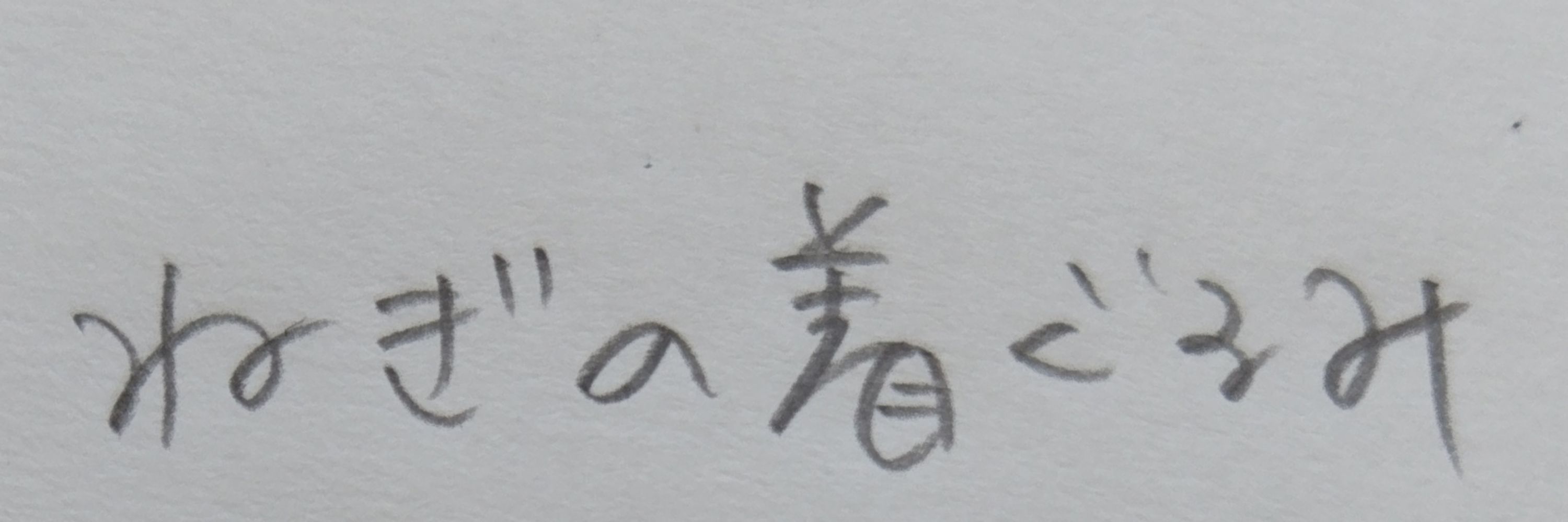 ねぎぐるみ