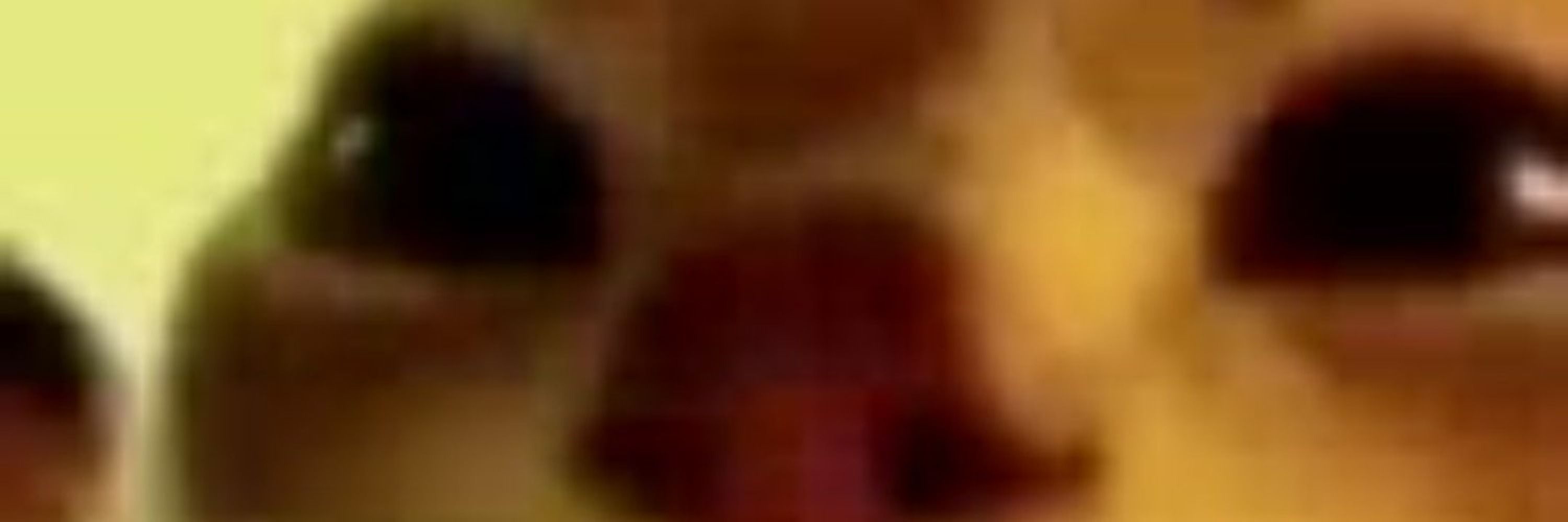 joaaaaaaaaaaaaaaao jooooooooooooooota