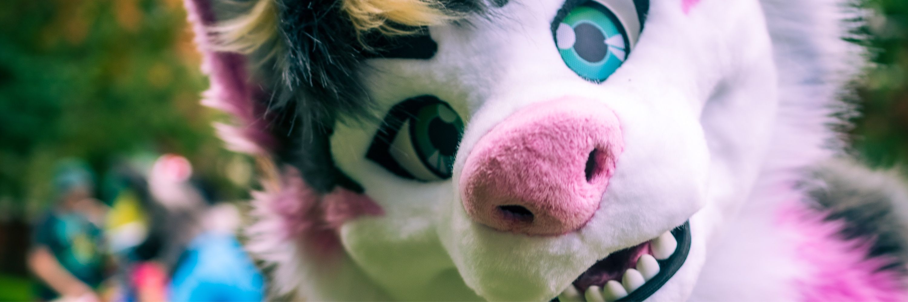 Alwa (Jake) 🔜 CFz