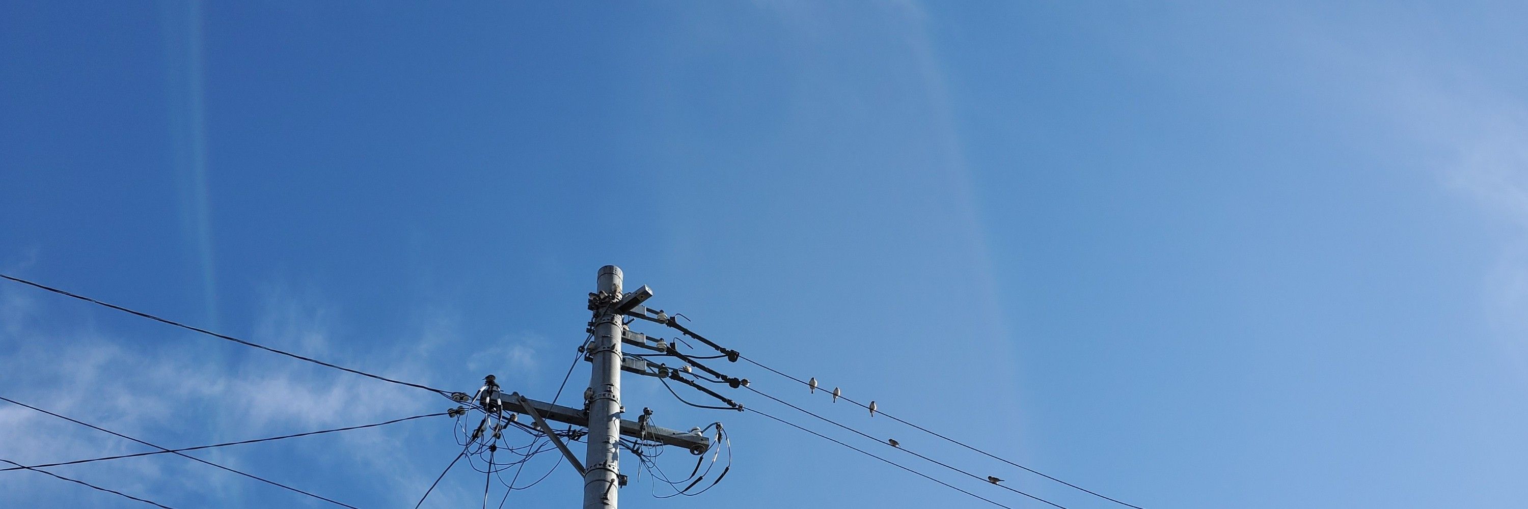 透歌 空