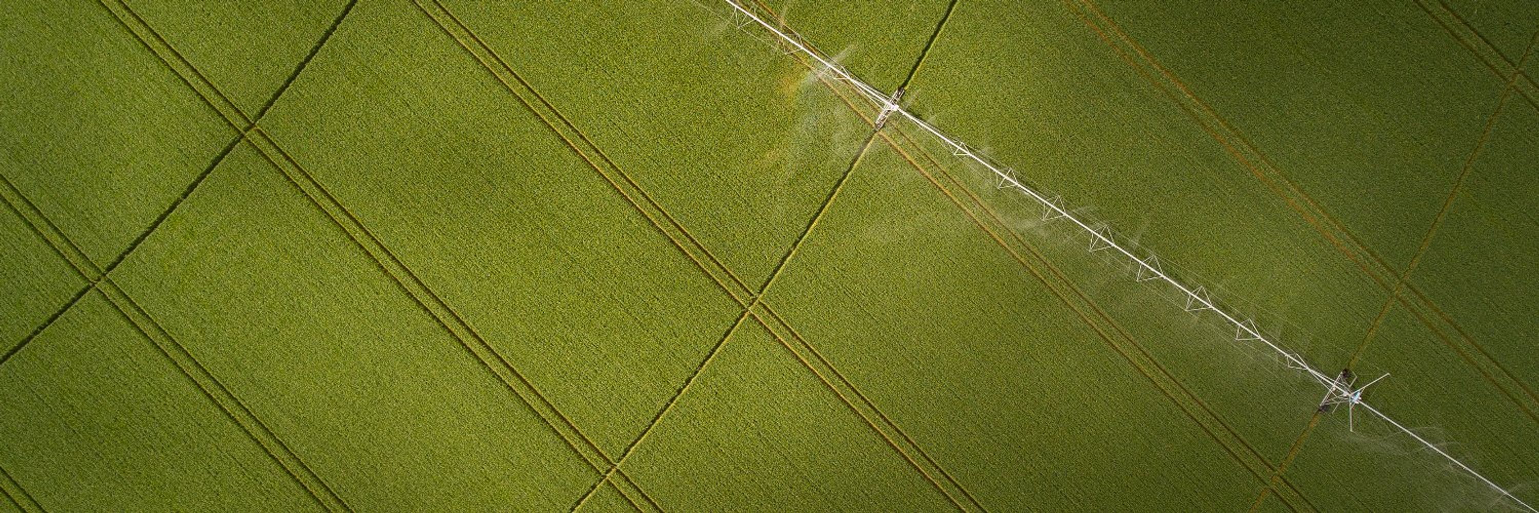CSIS Global Food & Water Security Program